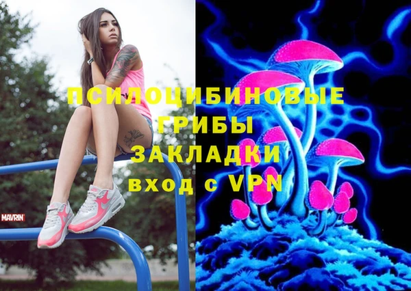 амф Верхний Тагил