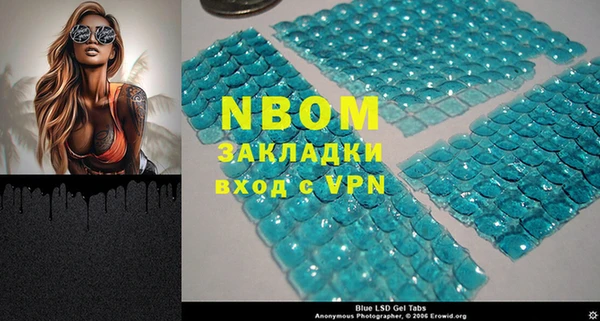 амф Верхний Тагил