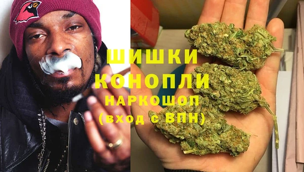 амф Верхний Тагил