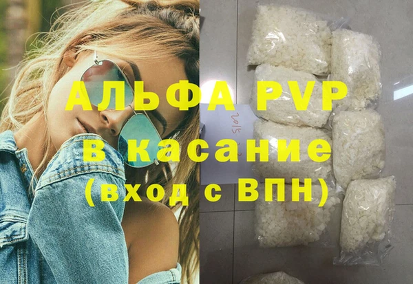 амф Верхний Тагил