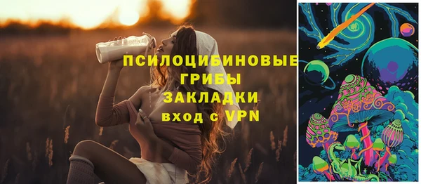 амф Верхний Тагил