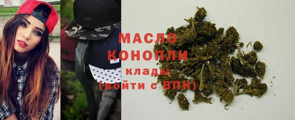 амф Верхний Тагил