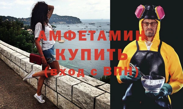 амф Верхний Тагил